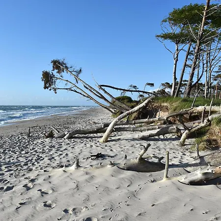 Meeresblau - Mit Balkon Zur Meerseite Zingst
