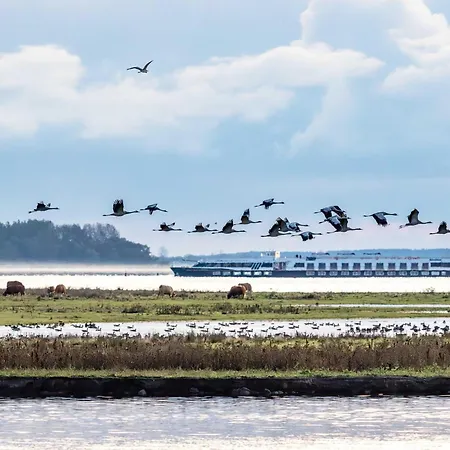 Apartman Meeresblau - Mit Balkon Zur Meerseite *