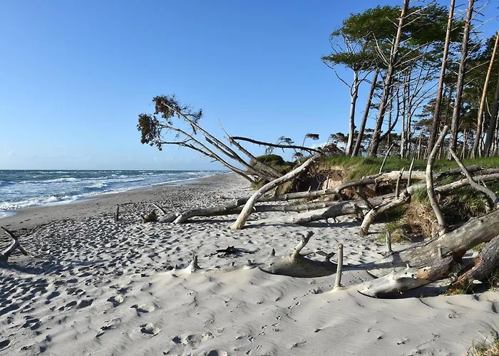 Meeresblau - Mit Balkon Zur Meerseite Zingst